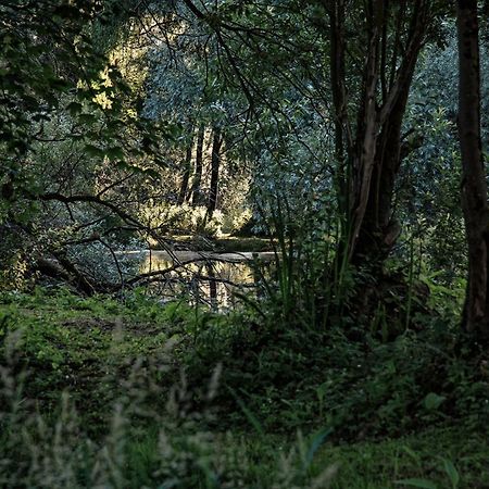 Les Cabanes Des Marais La Madelaine-sous-Montreuil Dış mekan fotoğraf